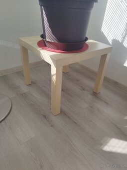 Fíkus 150cm - 6