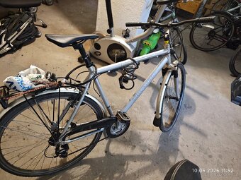 Kolo Triumph - 6