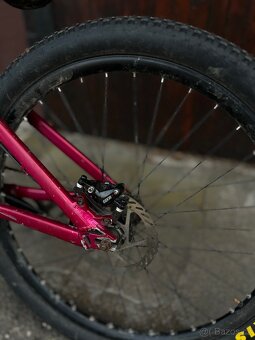 CTM DIRTKING - 6