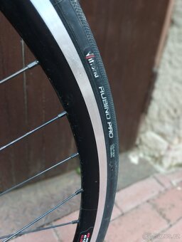 Festka Favorit 56, comp SturmeyArcher, Force - 6