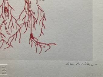 Eva Koťátková - Replanted - 6