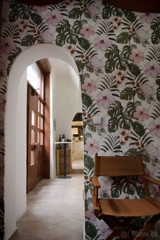 Přenechání zavedeného bistra/kavárny v srdci Olomouce - 6