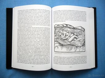 Magická prasíla ( rozfoceno 6 snímků ) - 6