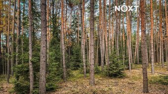 Prodej pozemek Lesy, 10398㎡ - 6