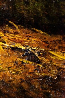 Karl Schmidbauer – olej na plátne, 105×75cm - 6
