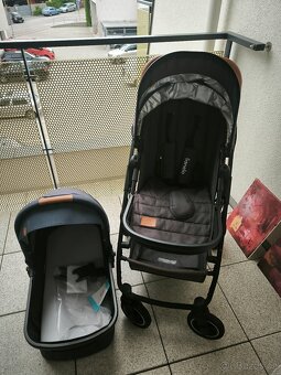 Lionelo Amber - 6