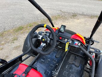 Viper Buggy - 6