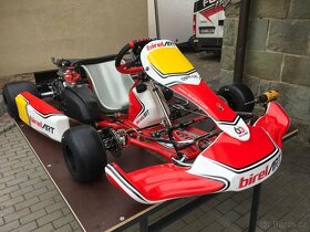MOTOKÁRA BIREL ART ROTAX DD2 - 6