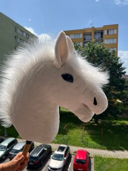 Hobby Horse - 6