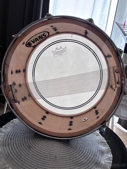 Snare Pearl Masters Dennis Chambers Signature 14x6.5 - TOP - 6
