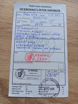 Sebritky - 6