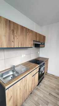 Zrekonstruovaný 1+1 byt Bohumín - pronájem - 6