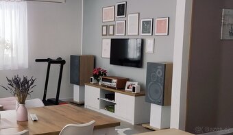 Pioneer HPM100 - 6