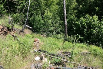 Lesní pozemek 12.204 m² s chatou 35m2 – Loděnice u Berouna - 6