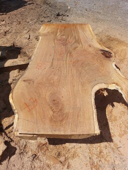 Dubové fošny xl - 6