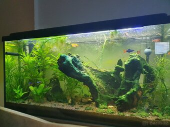 Kompletní akvarium 200 l - 6