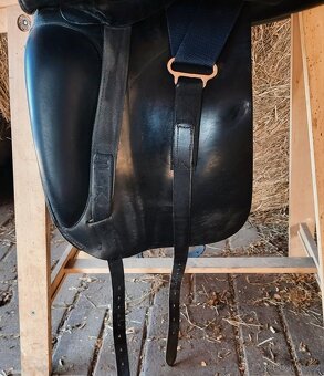 Prestige Top Dressage 17/31 - 6
