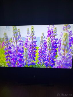 Televize Sharp 40” - 6