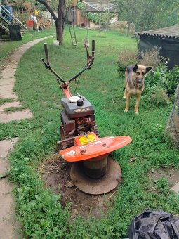 Tera s bubnovou sekačkou - 6