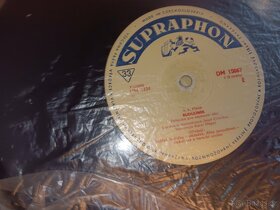LP - 6