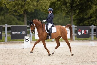 Poradenství v nákupu a prodeji na míru - 6