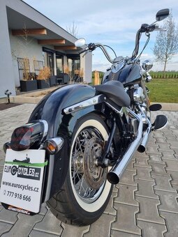 Harley- Davidson FLSTC Softail Heritage Classic, 2010 - 6