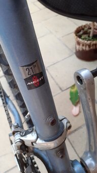 Horské kolo AMULET ACTIVE Maxima - 6