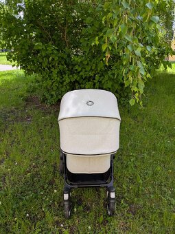 Buffalo Bugaboo - 6