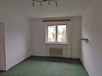 Prodej bytu 3+1, Olomouc, u parku. - 6