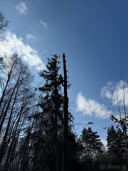 Plošina pronájem, kácení stromů, čištění střech - 6
