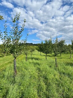 Pozemek s krásným výhledem a chatkou - 6