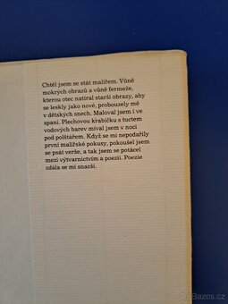 Kniha ŠEL MALÍŘ CHUDĚ DO SVĚTA - 6