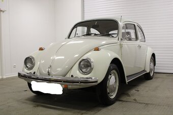 VW Brouk - 6