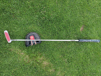 Putter Taylor Made Ardmore 3 TP colletion - 6
