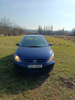 Peugeot 307 2.0 HDI - 6