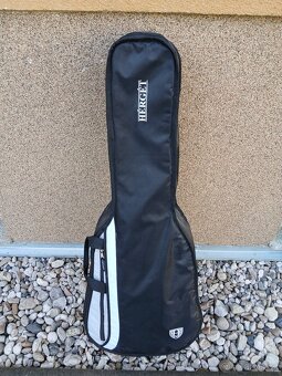 Akustická kytara Gilmour Antique W48 - 6