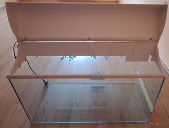 Terarium Lucky Reptile Bearded Dragon - 6