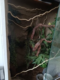 Terárium - 6