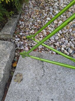 Ocelový silnični rám Coronado(Švycarsko) - 6