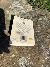 Elfréa Lockley-Things to Do Now That You're a Mom ANGLIČTINA - 6