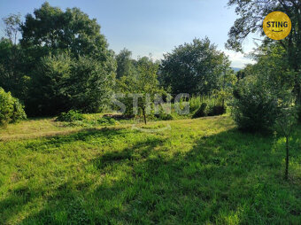 Dům k rekonstrukci s velikou zahradou, 5128m2, Radko, 131474 - 6
