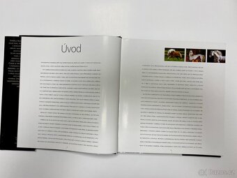 Koně Autor Gabrielle Boiselleová, Agnés Galletierová - 6