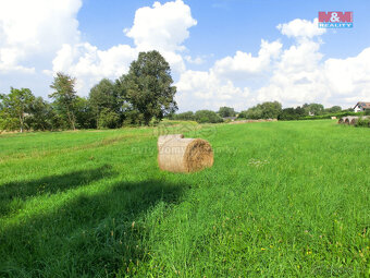 Prodej pozemku, 3885 m², Radenín - 6