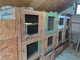 Prodám králíkárny - 6