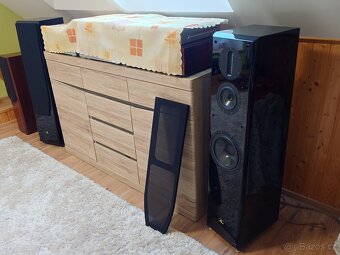 Aurum Cantus M-102HG - 6