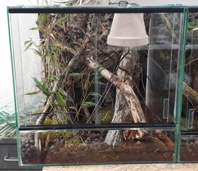 Terária pro malé ještěry či hady - 6