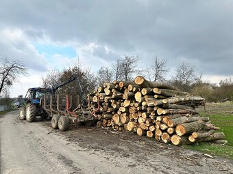 Linka na výrobu palivového dřeva - 6