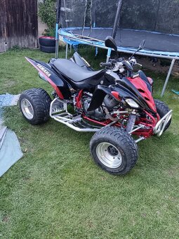 Yamaha 350r 2005 - 6