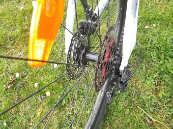 Horské kolo 29'' CTM Charisma 4.0 - 6