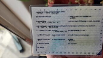 Přepravník na koně - 6